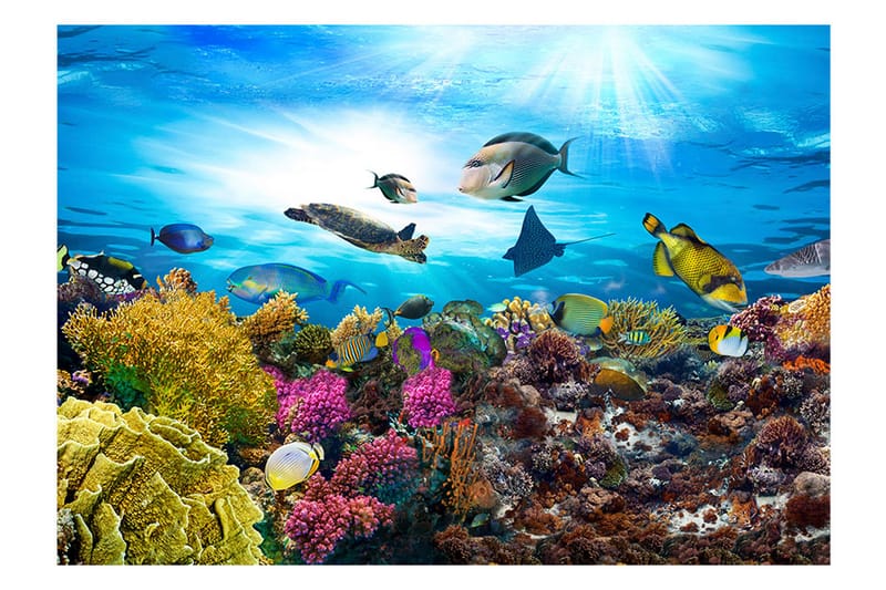 FOTOTAPET Coral Reef 100x70 - Artgeist sp. z o. o. - Inredning & dekor - Väggdekor - Tapeter & tapettillbehör - Fototapeter