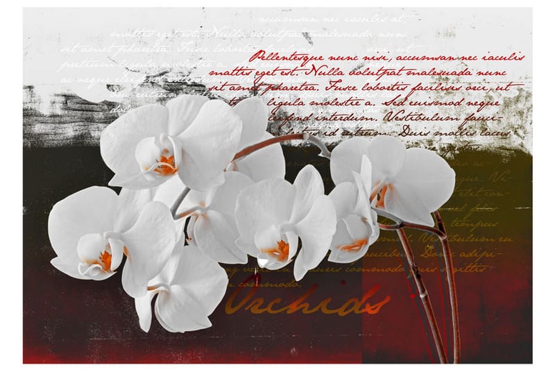 FOTOTAPET Diary And Orchid 350x245 - Artgeist sp. z o. o. - Inredning & dekor - Väggdekor - Tapeter & tapettillbehör - Fototapeter