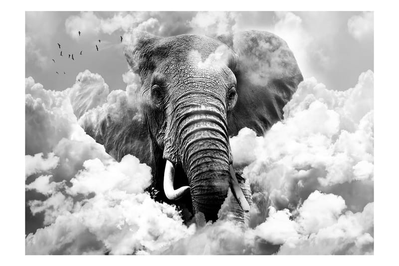 FOTOTAPET Elephant In The Clouds Black And White 150x105 - Artgeist sp. z o. o. - Inredning & dekor - Väggdekor - Tapeter & tapettillbehör - Fototapeter