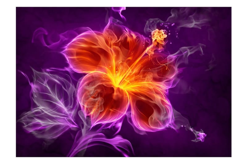 FOTOTAPET Fiery Flower In Purple 100x70 - Artgeist sp. z o. o. - Inredning & dekor - Väggdekor - Tapeter & tapettillbehör - Fototapeter