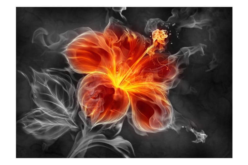 FOTOTAPET Fiery Flower Inside The Smoke 100x70 - Artgeist sp. z o. o. - Inredning & dekor - Väggdekor - Tapeter & tapettillbehör - Fototapeter