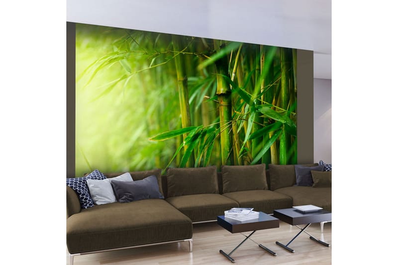 FOTOTAPET Jungle Bamboo 300x231 - Artgeist sp. z o. o. - Inredning & dekor - Väggdekor - Tapeter & tapettillbehör - Fototapeter