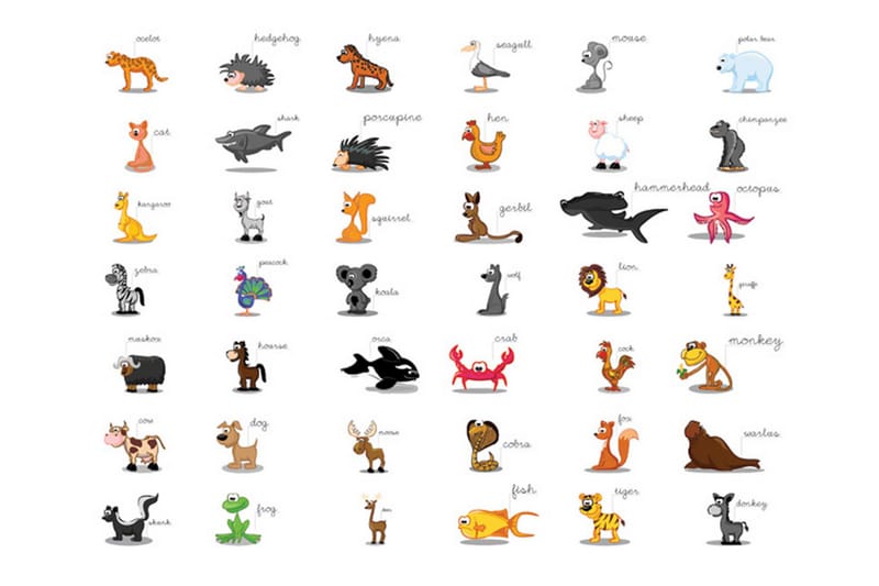 FOTOTAPET Learning By Playing Animals 350x270 - Artgeist sp. z o. o. - Inredning & dekor - Väggdekor - Tapeter & tapettillbehör - Fototapeter