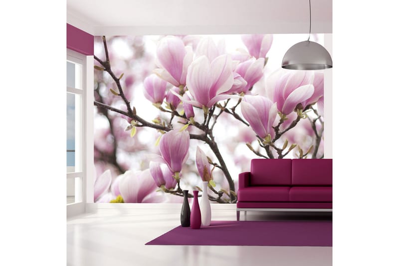 FOTOTAPET Magnolia Bloosom 250x193 - Artgeist sp. z o. o. - Inredning & dekor - Väggdekor - Tapeter & tapettillbehör - Fototapeter