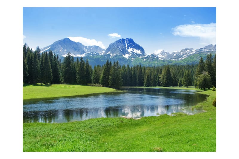 FOTOTAPET National Park Durmitor Montenegro 350x270 - Artgeist sp. z o. o. - Inredning & dekor - Väggdekor - Tapeter & tapettillbehör - Fototapeter