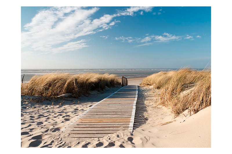 FOTOTAPET Nordsjöns Strand Langeoog 300x231 - Artgeist sp. z o. o. - Inredning & dekor - Väggdekor - Tapeter & tapettillbehör - Fototapeter