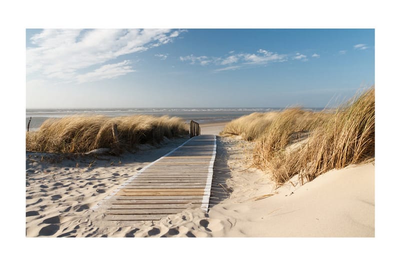 FOTOTAPET Nordsjöns Strand Langeoog 450x270 - Artgeist sp. z o. o. - Inredning & dekor - Väggdekor - Tapeter & tapettillbehör - Fototapeter