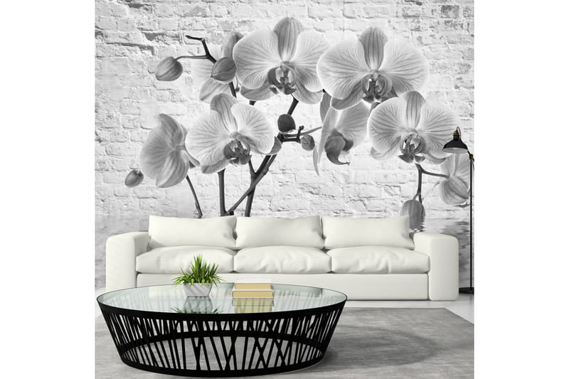 FOTOTAPET Orchid In Shades Of Gray 150x105 - Artgeist sp. z o. o. - Inredning & dekor - Väggdekor - Tapeter & tapettillbehör - Fototapeter