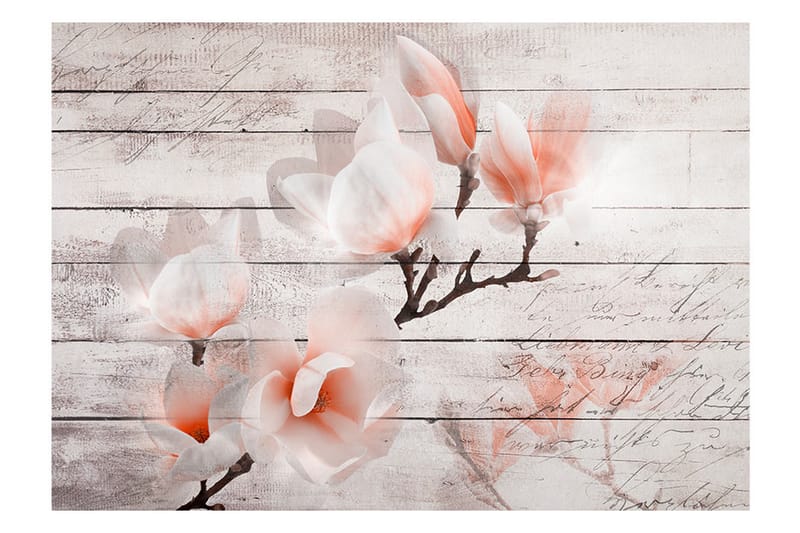 FOTOTAPET Subtlety Of The Magnolia 250x175 - Artgeist sp. z o. o. - Inredning & dekor - Väggdekor - Tapeter & tapettillbehör - Fototapeter