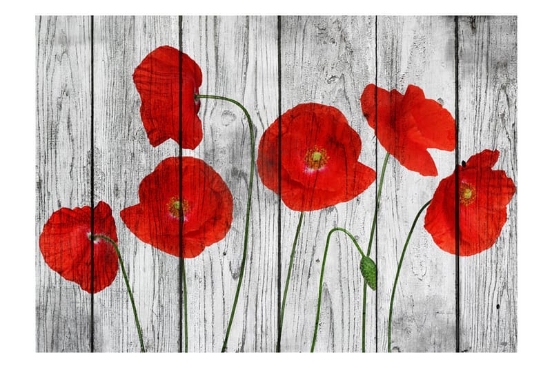 FOTOTAPET Tale Of Red Poppies 250x175 - Artgeist sp. z o. o. - Inredning & dekor - Väggdekor - Tapeter & tapettillbehör - Fototapeter