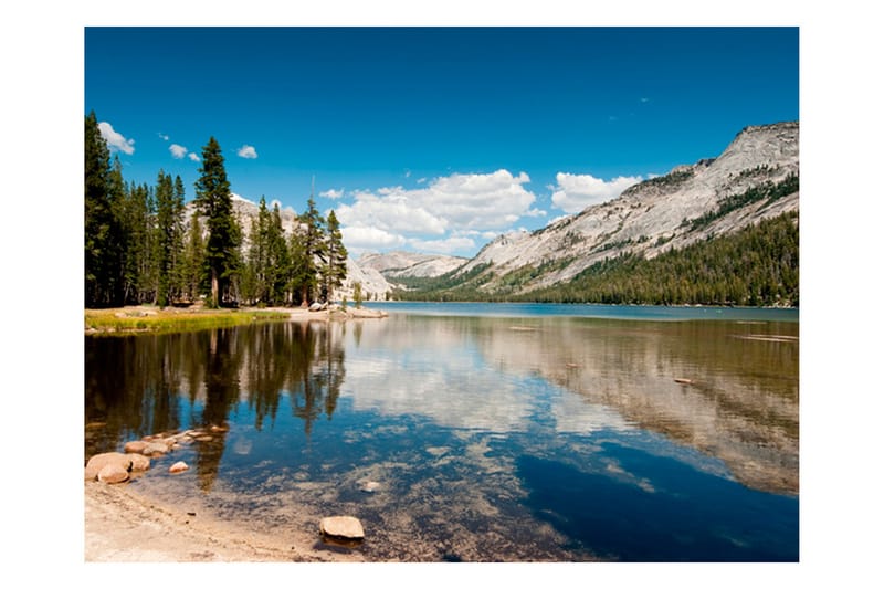 FOTOTAPET Tenaya Lake Yosemite National Park 200x154 - Artgeist sp. z o. o. - Inredning & dekor - Väggdekor - Tapeter & tapettillbehör - Fototapeter