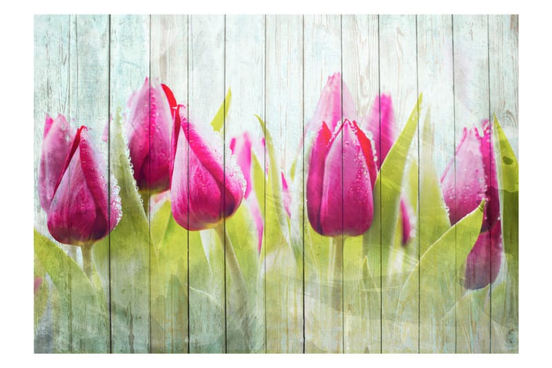 FOTOTAPET Tulips On White Wood 100x70 - Artgeist sp. z o. o. - Fototapeter