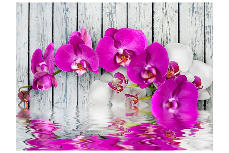 FOTOTAPET Violet Orchids With Water Reflexion 200x154 - Artgeist sp. z o. o. - Inredning & dekor - Väggdekor - Tapeter & tapettillbehör - Fototapeter