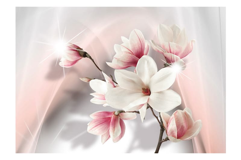 FOTOTAPET White Magnolias 150x105 - Artgeist sp. z o. o. - Inredning & dekor - Väggdekor - Tapeter & tapettillbehör - Fototapeter