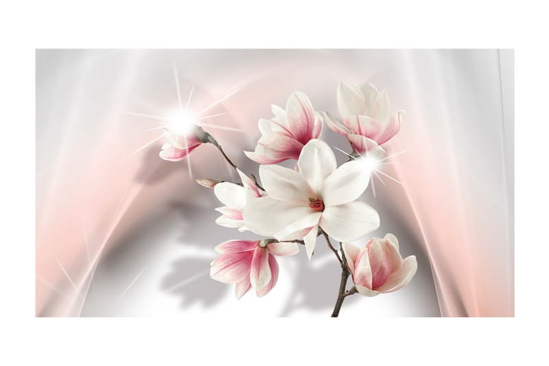 FOTOTAPET XXL White Magnolias II 500x280 - Artgeist sp. z o. o. - Inredning & dekor - Väggdekor - Tapeter & tapettillbehör - Fototapeter