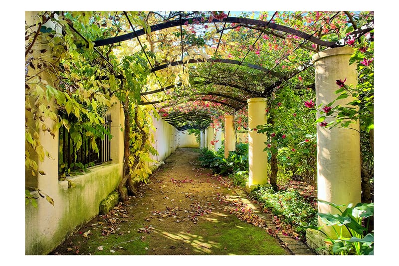 FOTOTAPET Pergola 100x70 - Artgeist sp. z o. o. - Inredning & dekor - Väggdekor - Tapeter & tapettillbehör - Fototapeter