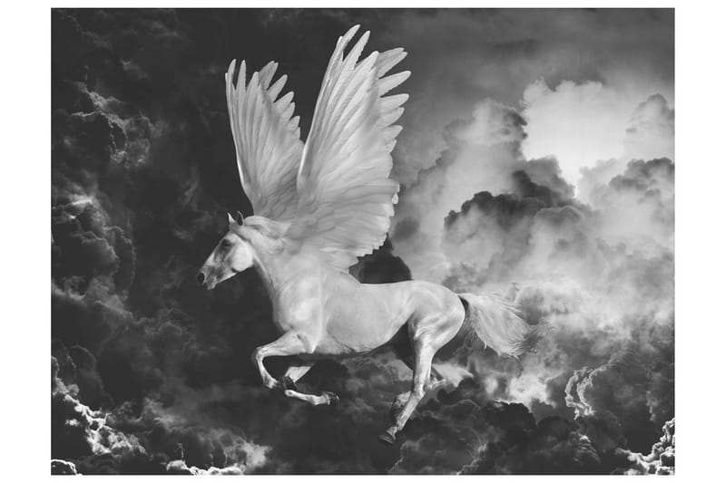 FOTOTAPET Pegasus På Väg Till Mount Olympus 250x193 - Artgeist sp. z o. o. - Inredning & dekor - Väggdekor - Tapeter & tapettillbehör - Fototapeter