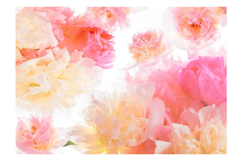 FOTOTAPET Pastel Peonies 400x280 - Artgeist sp. z o. o. - Inredning & dekor - Väggdekor - Tapeter & tapettillbehör - Fototapeter