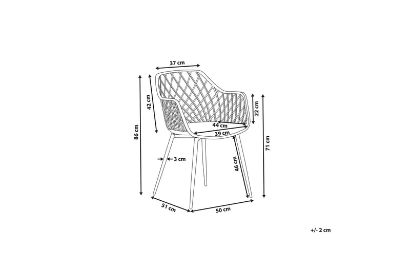 SCHLEY Stol 2-pack Ljusgrå - Möbler - Matplats - Matstol & köksstol