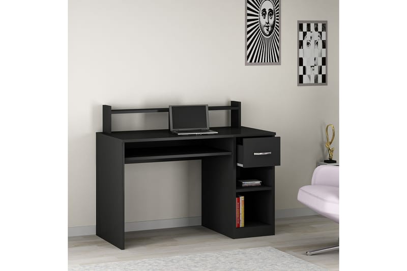EYMIR Skrivbord 120 cm med Förvaring Låda + Hyllor Antracit - Gamingbord & datorbord - Skrivbord - Bord