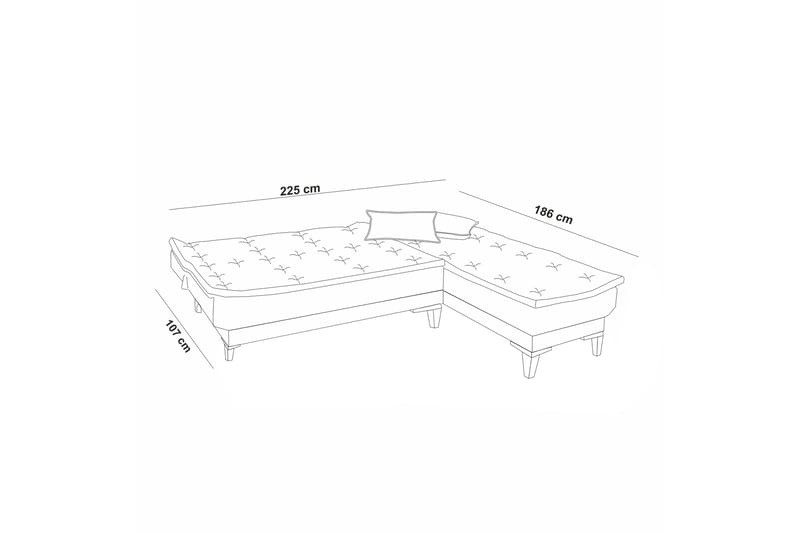 Bunnythorpe Bäddsoffa m. Divan 4-sits 107x205 Antracit - Möbler - Vardagsrum - Bäddsoffor