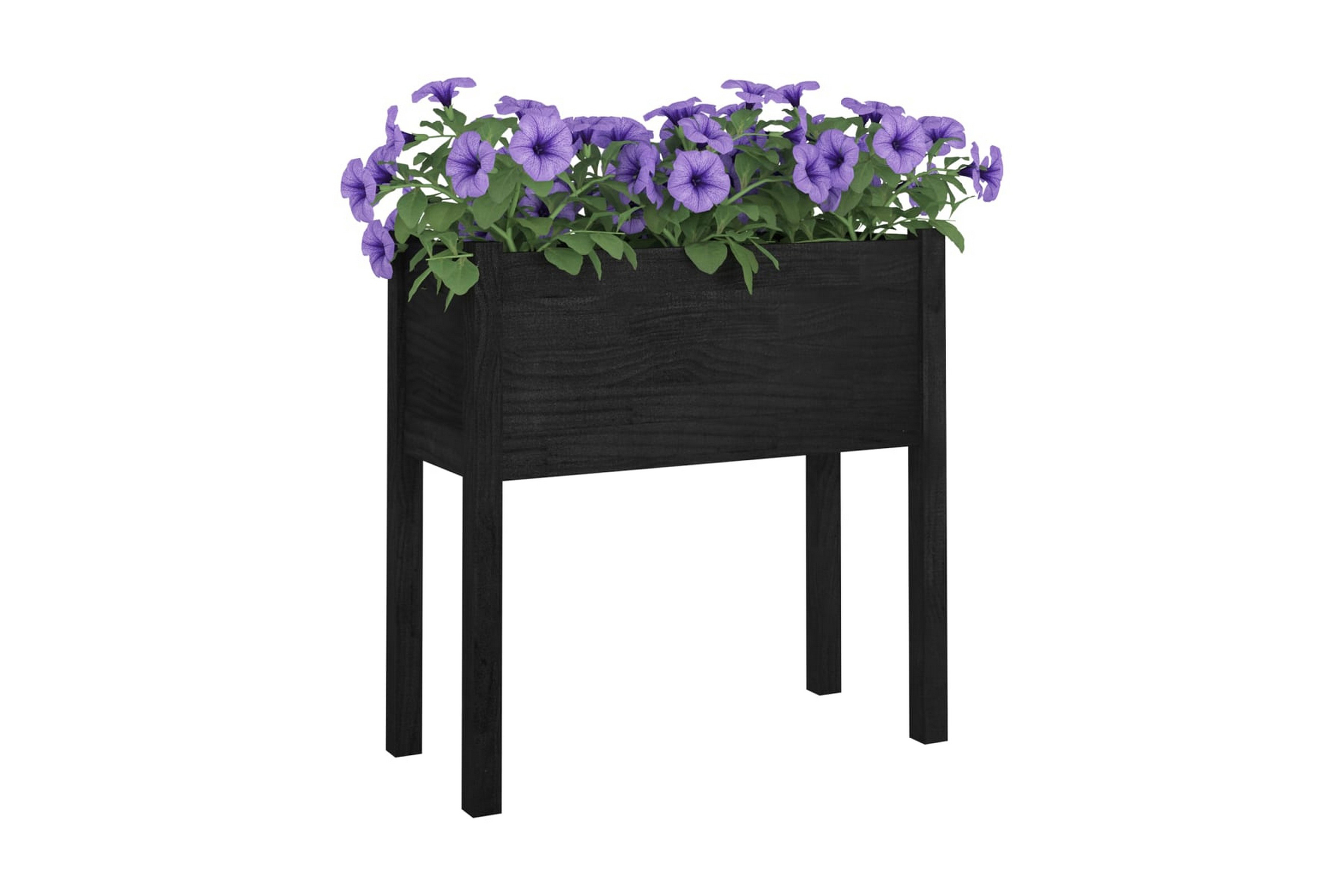 Odlingslåda svart 70x31x70 cm massiv furu – Svart